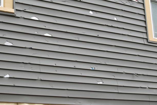 Best Construction Debris Removal  in Shinglehouse, PA